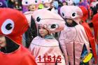 11515.jpg