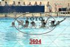 3604.jpg