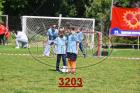 3203.jpg