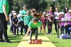 2590.jpg