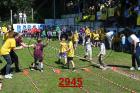 2945.jpg
