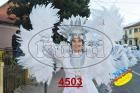4503.jpg