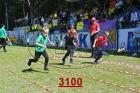 3100.jpg