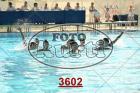 3602.jpg