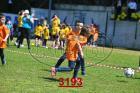 3193.jpg