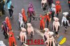 11485.jpg