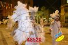 48520.jpg