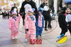6560.jpg
