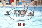 3516.jpg