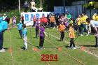 2954.jpg