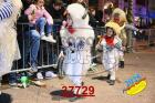 37729.jpg