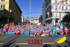 11061.jpg