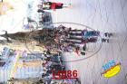 14686.jpg