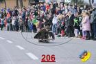 206.jpg