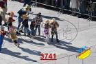 3741.jpg