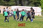 3407.jpg