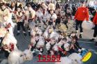 15559.jpg