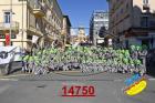 14750.jpg
