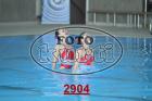 2904.jpg