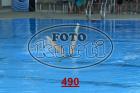490.jpg