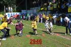 2946.jpg