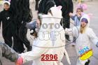 2896.jpg