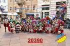 20390.jpg