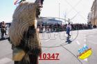 10347.jpg