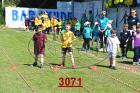 3071.jpg