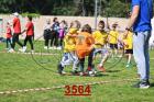 3564.jpg