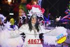 48677.jpg