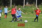 3590.jpg
