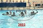 3603.jpg