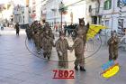 7802.jpg