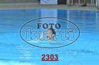 2303.jpg