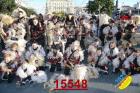 15548.jpg