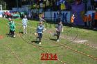 2934.jpg