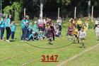 3147.jpg