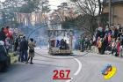267.jpg