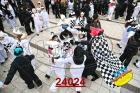 24024.jpg