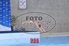 986.jpg
