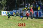 3085.jpg