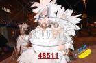 48511.jpg