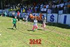 3042.jpg
