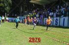 2976.jpg