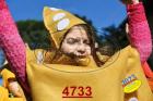 4733.jpg