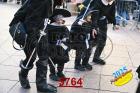 5764.jpg