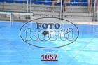1057.jpg