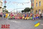 2637.jpg