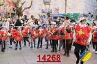 14268.jpg